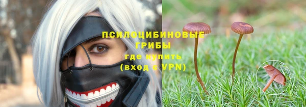 мяу мяу мука Карталы
