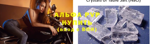 стаф Карпинск