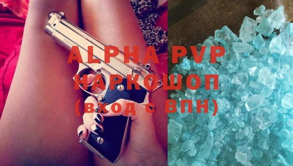 стаф Карпинск