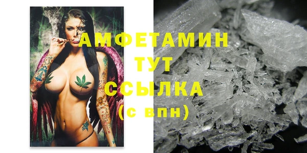 стаф Карпинск