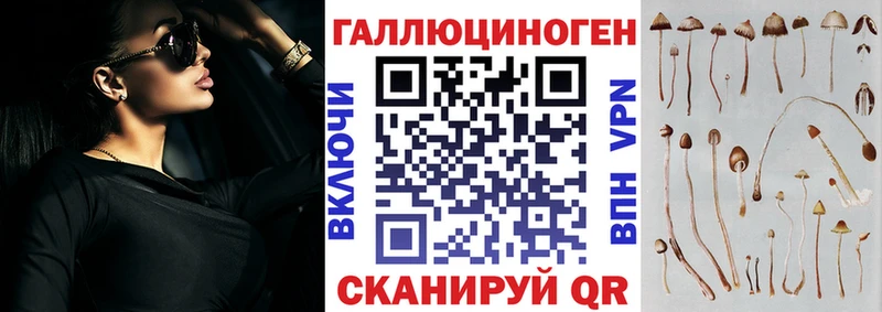 наркотики Кирс omg ссылка shop Telegram Галлюциногенные грибы мицелий